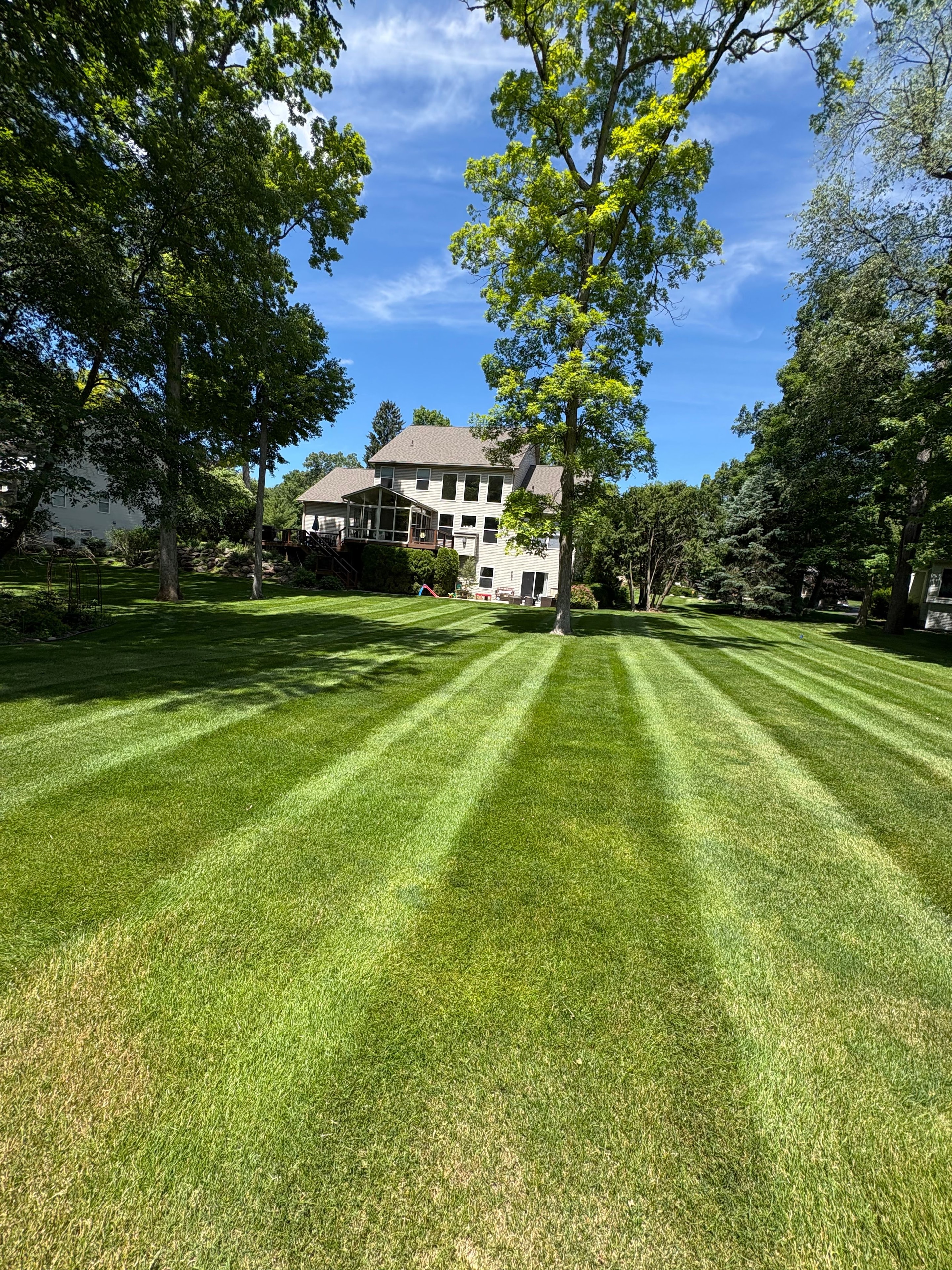 Wide-open backyard with precision stripes from edge to edge.