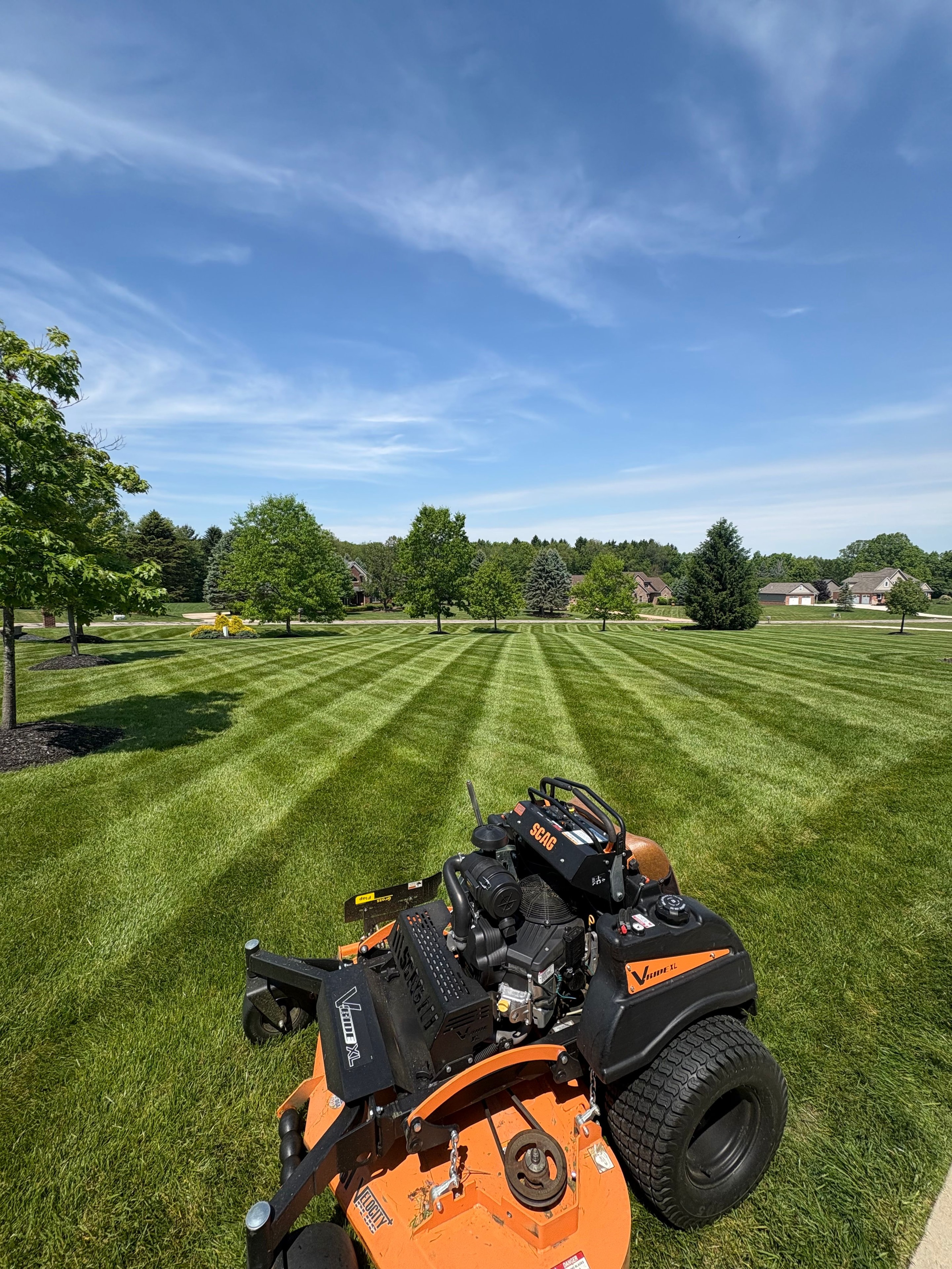 Wide-open estate lot with perfectly parallel stripes from edge to edge.