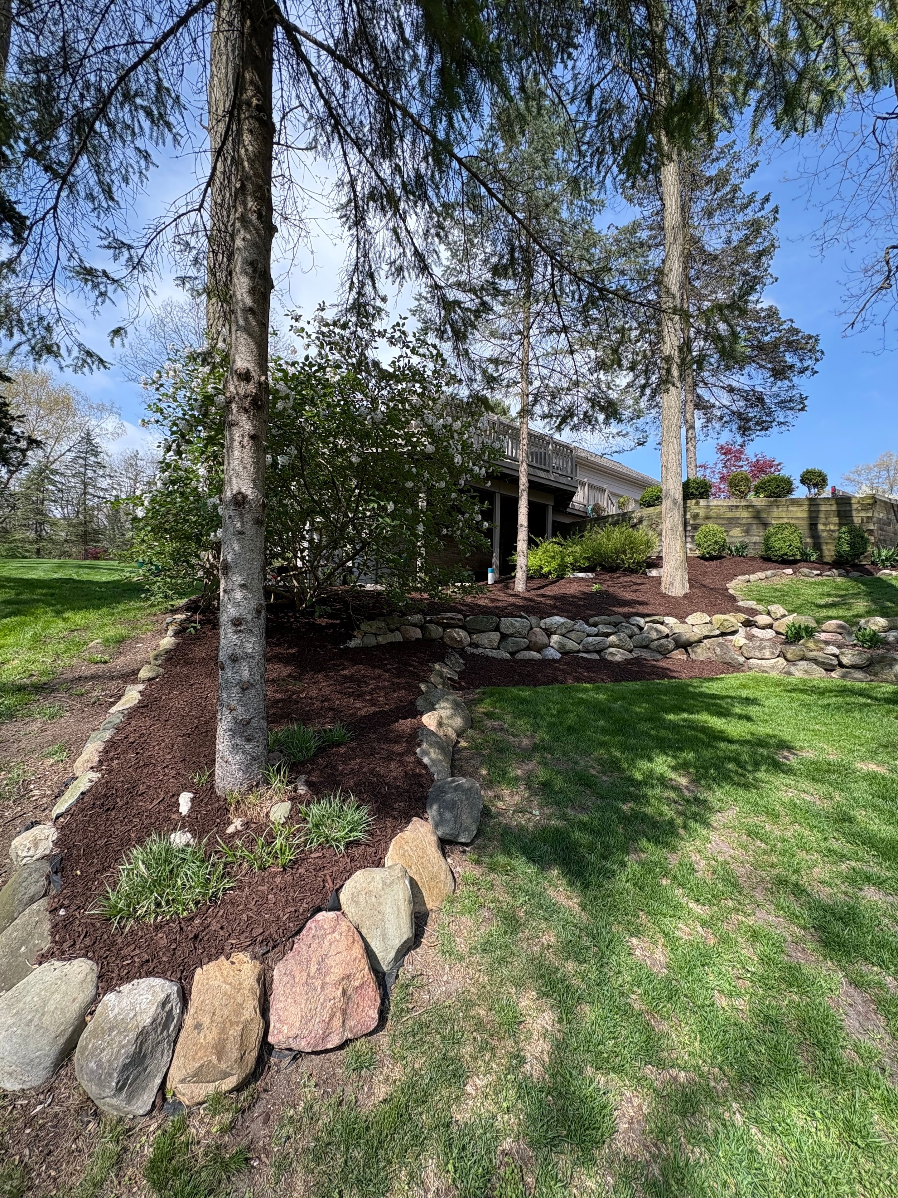 Stone-edged mulch beds with shaped shrubs — a polished, finished landscape.