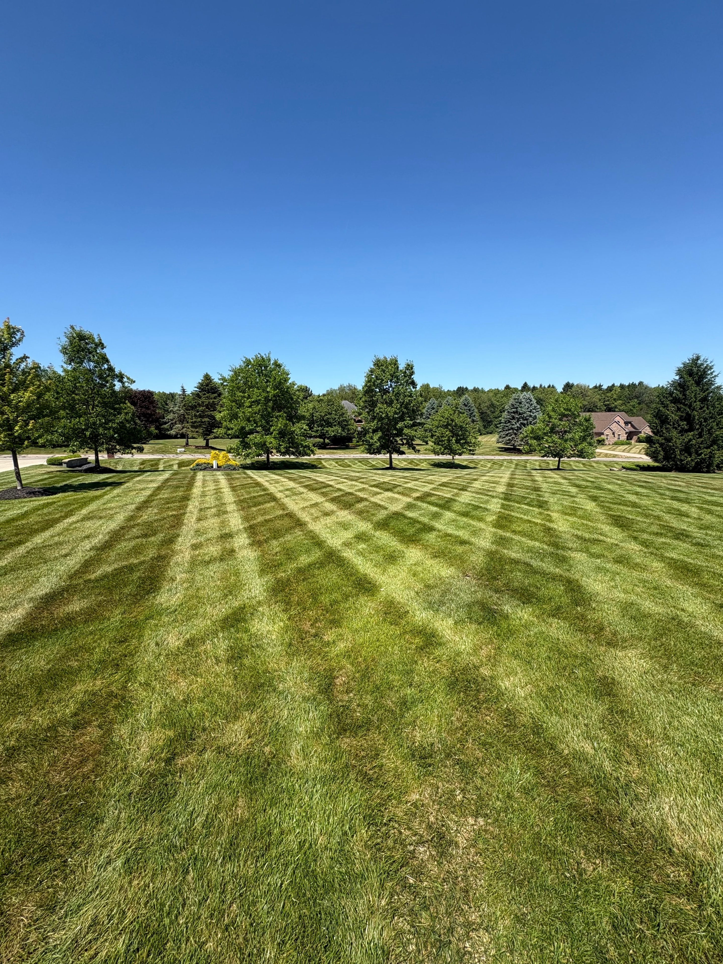 Lawn Maintenance