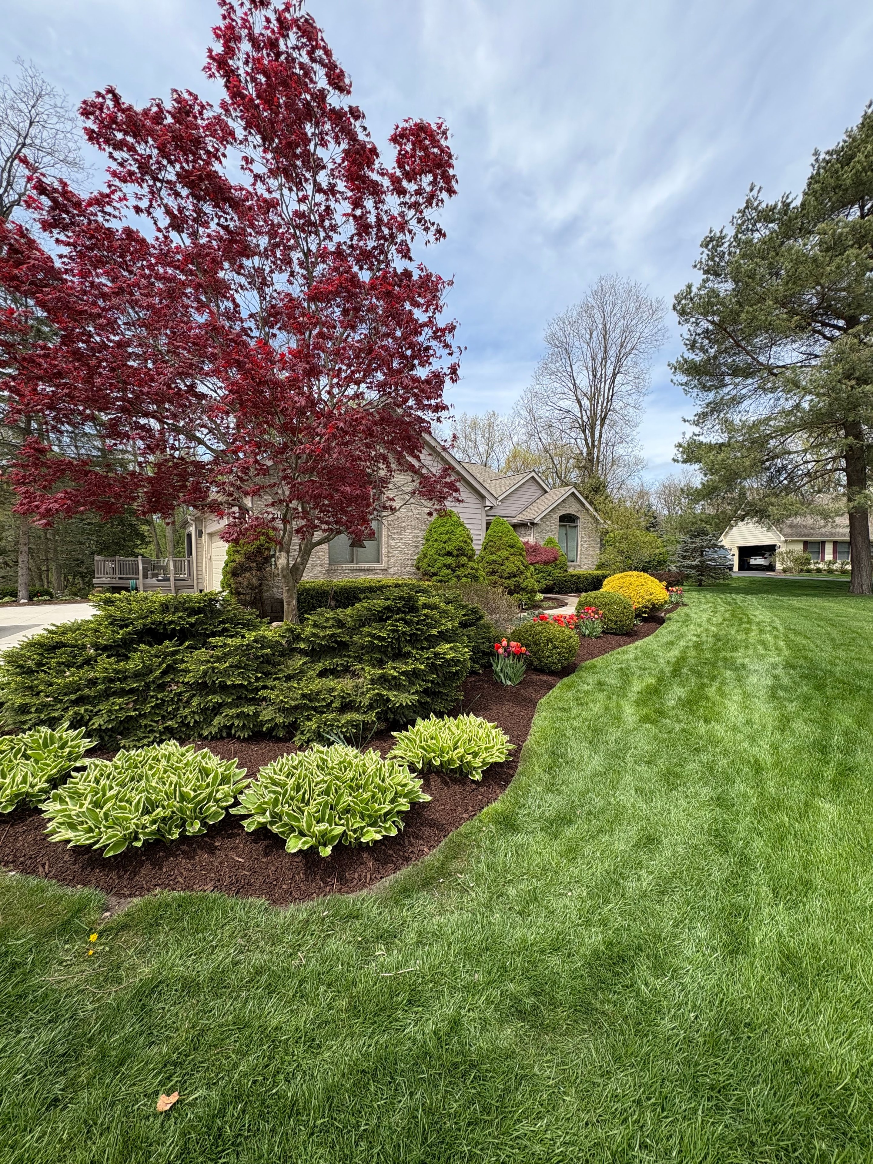 Spring Cleanup