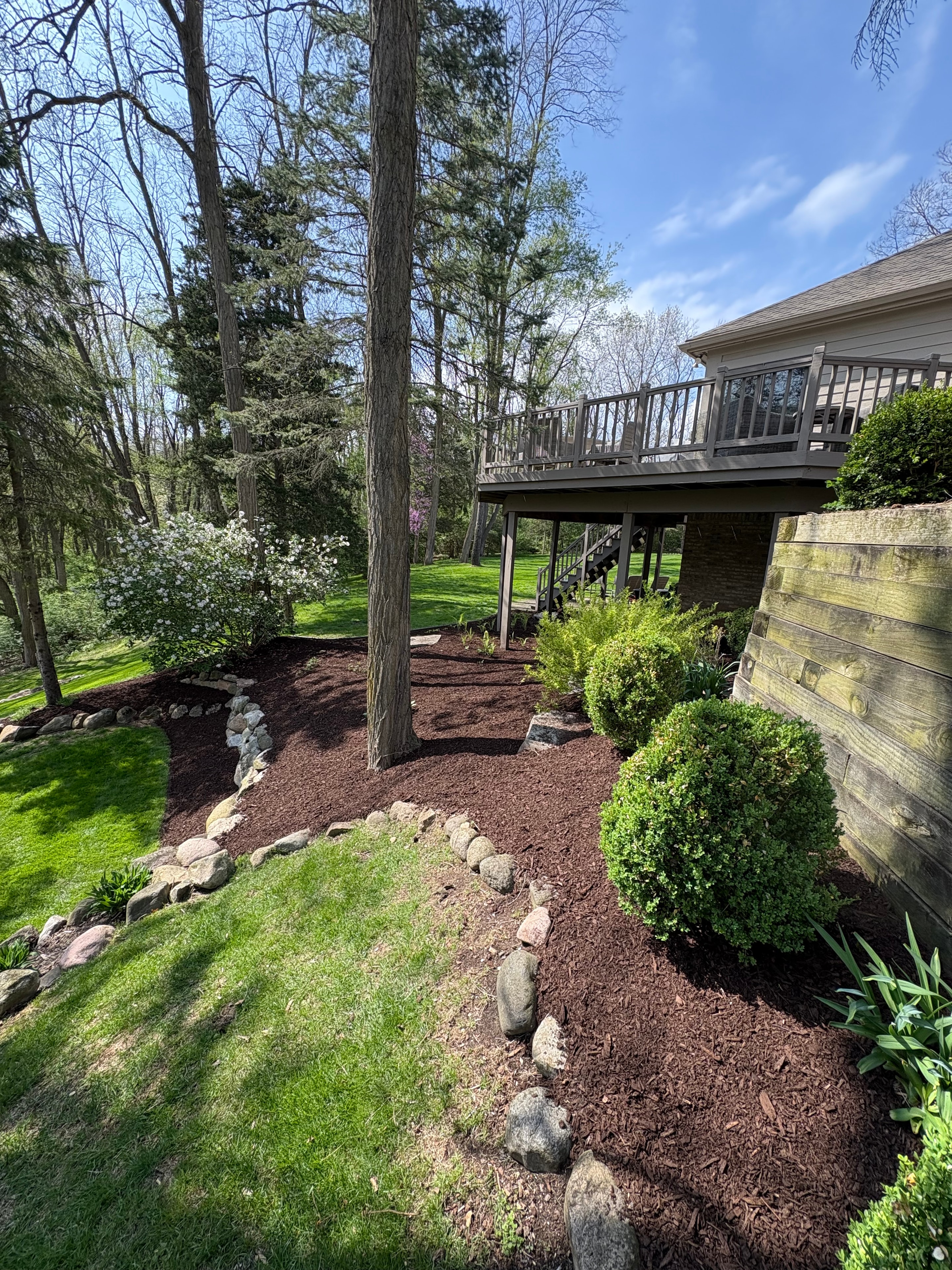 Fresh hardwood mulch with re-defined bed edges for instant curb appeal.